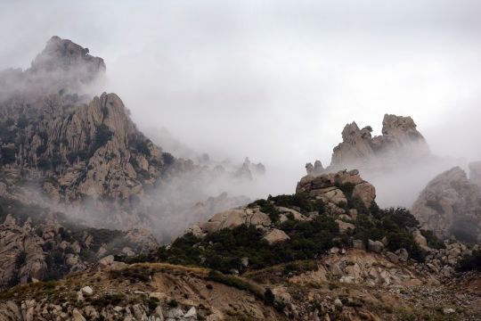 2005 - 14 Rally France 2005