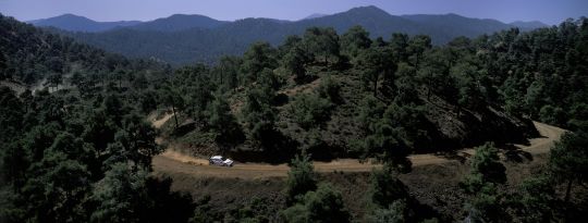 2004 - 05 Cyprus 2004