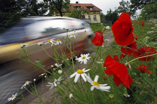 2009 - 08  Poland 2009