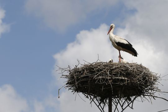 2014 - 07 Poland 2014