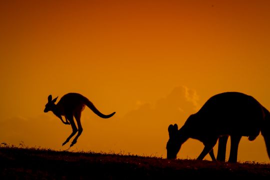 2016 - 14 Rally Australia 2016