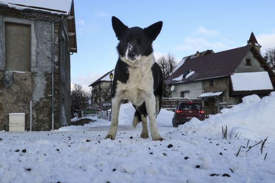 2017 - 01 Rally Monte Carlo