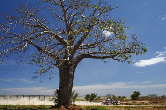 East African Safari Classic Rally-copyright free images for media use - 2019 EASCR
