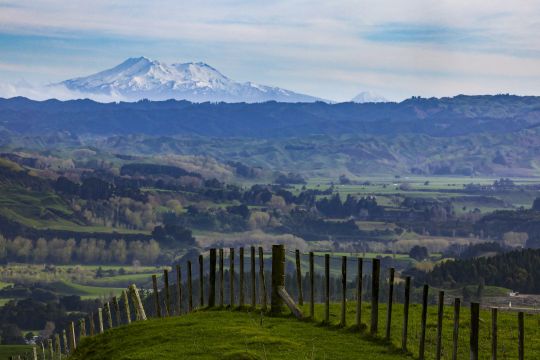 2022 - 11 Rally New Zealand 2022