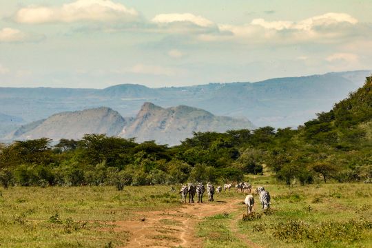 2023 - 07 Safari Rally Kenya 2023