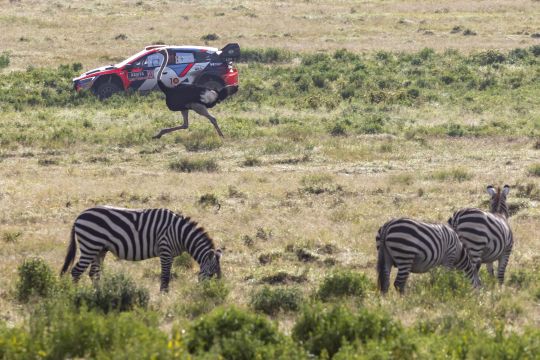 2024 - 03 Safari Rally 2024