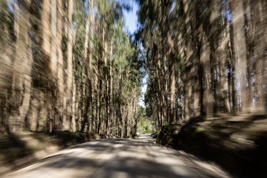 2024 - 05 Rally Portugal 2024