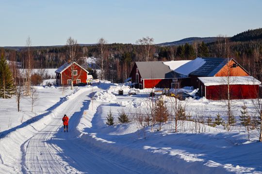 2025 - 02 Rally Sweden 2025