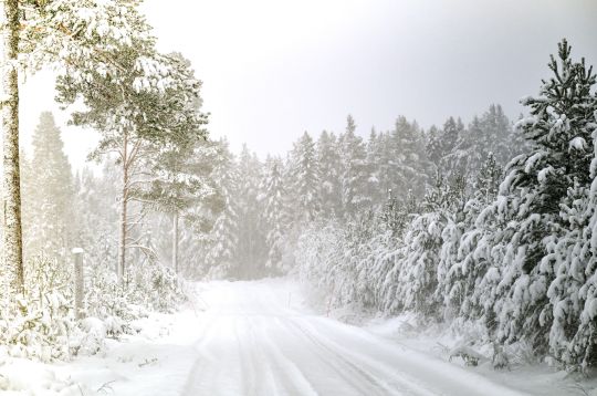 2026 - 02 Rally Sweden 2026